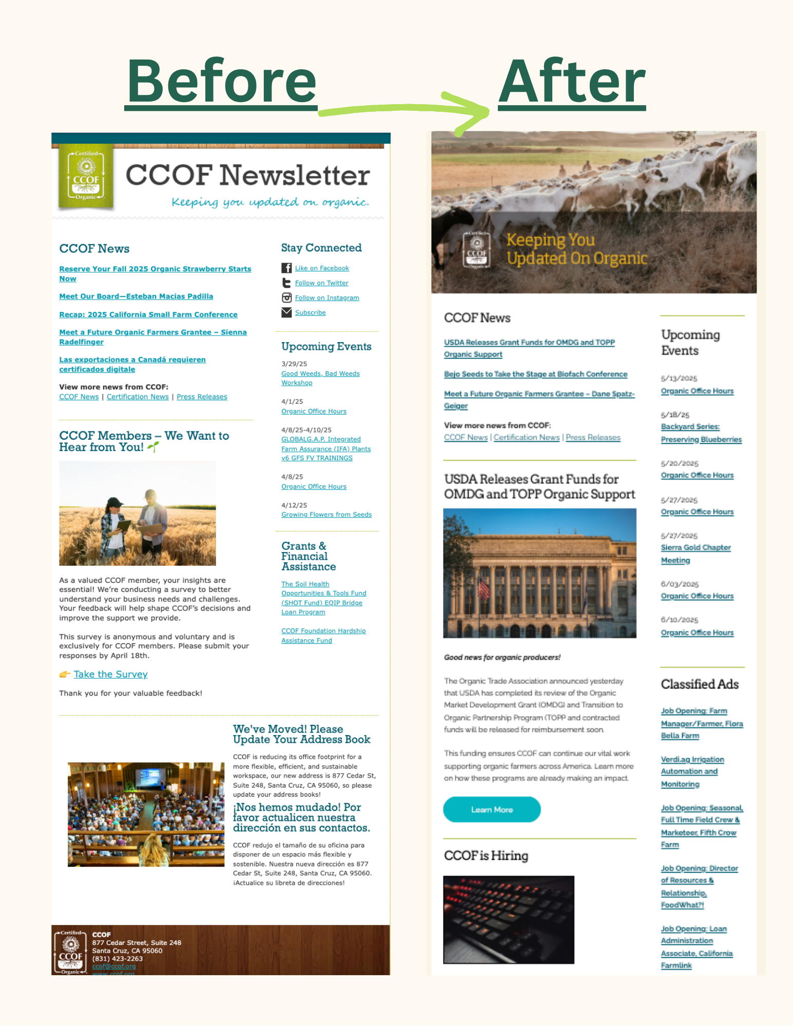 CCOF Email Template Redesign