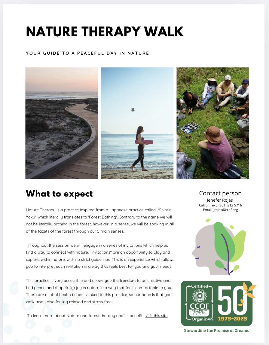 Nature Therapy Walk — Asilomar Beach Edition