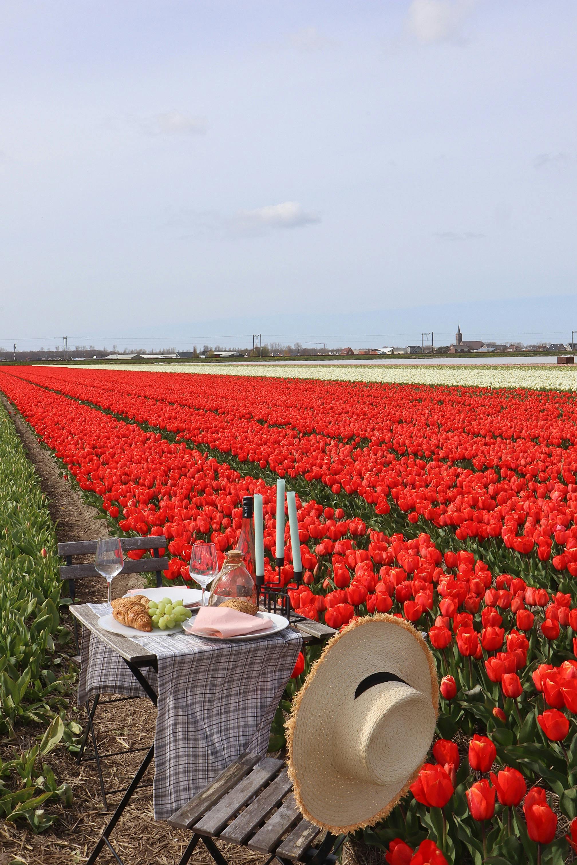 farm to table meaning