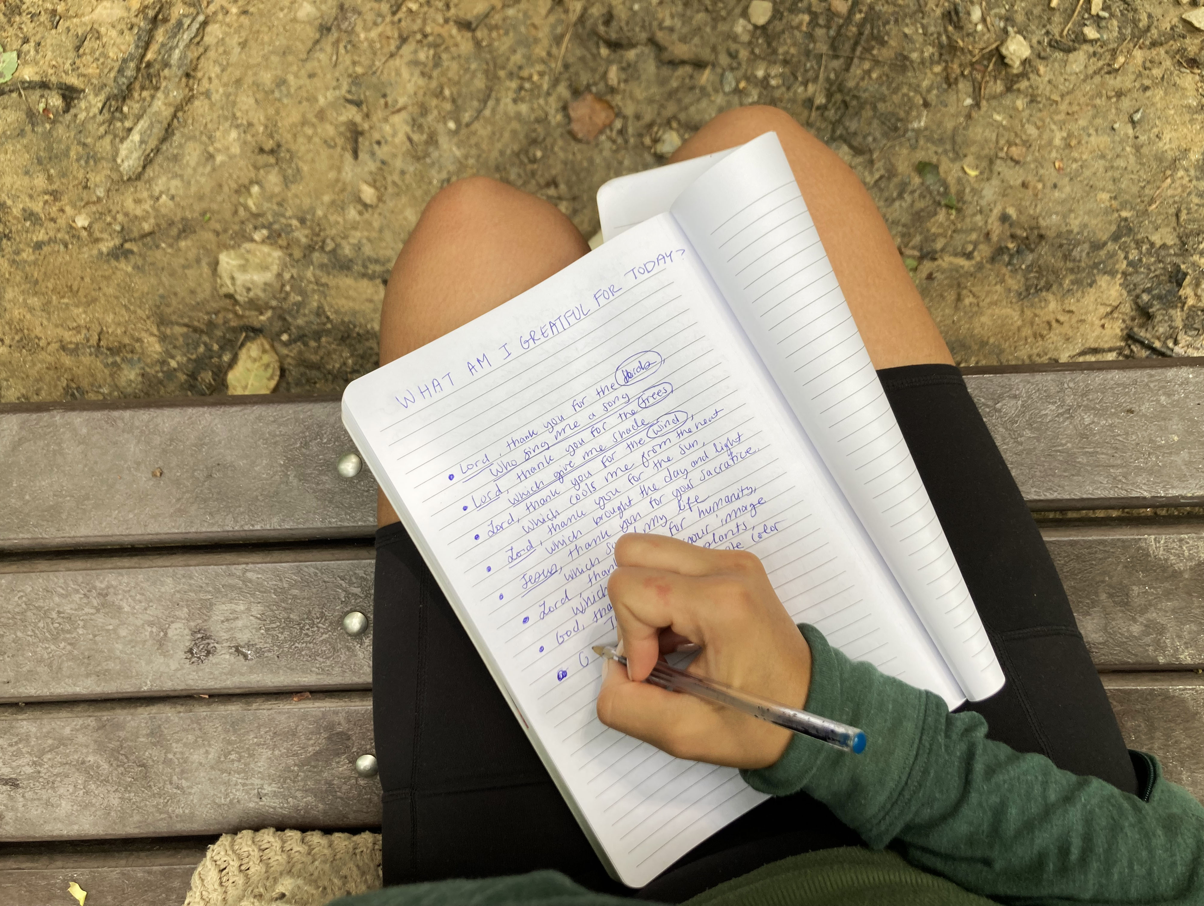 gratitude journal ideas for students
