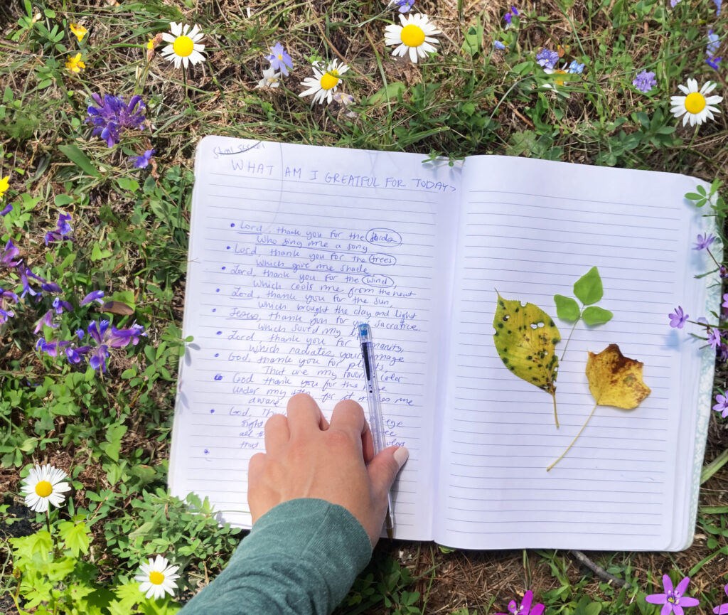 gratitude meaning with example