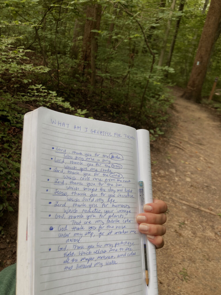 journal entry prompts for adults