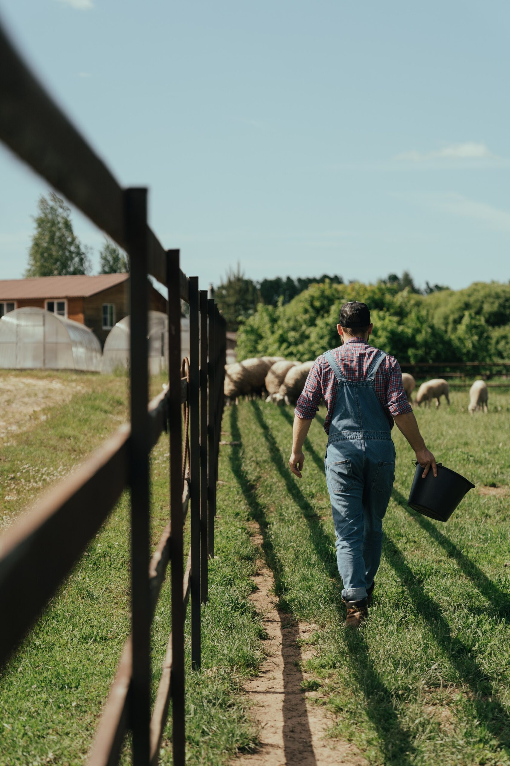 organic food farmer