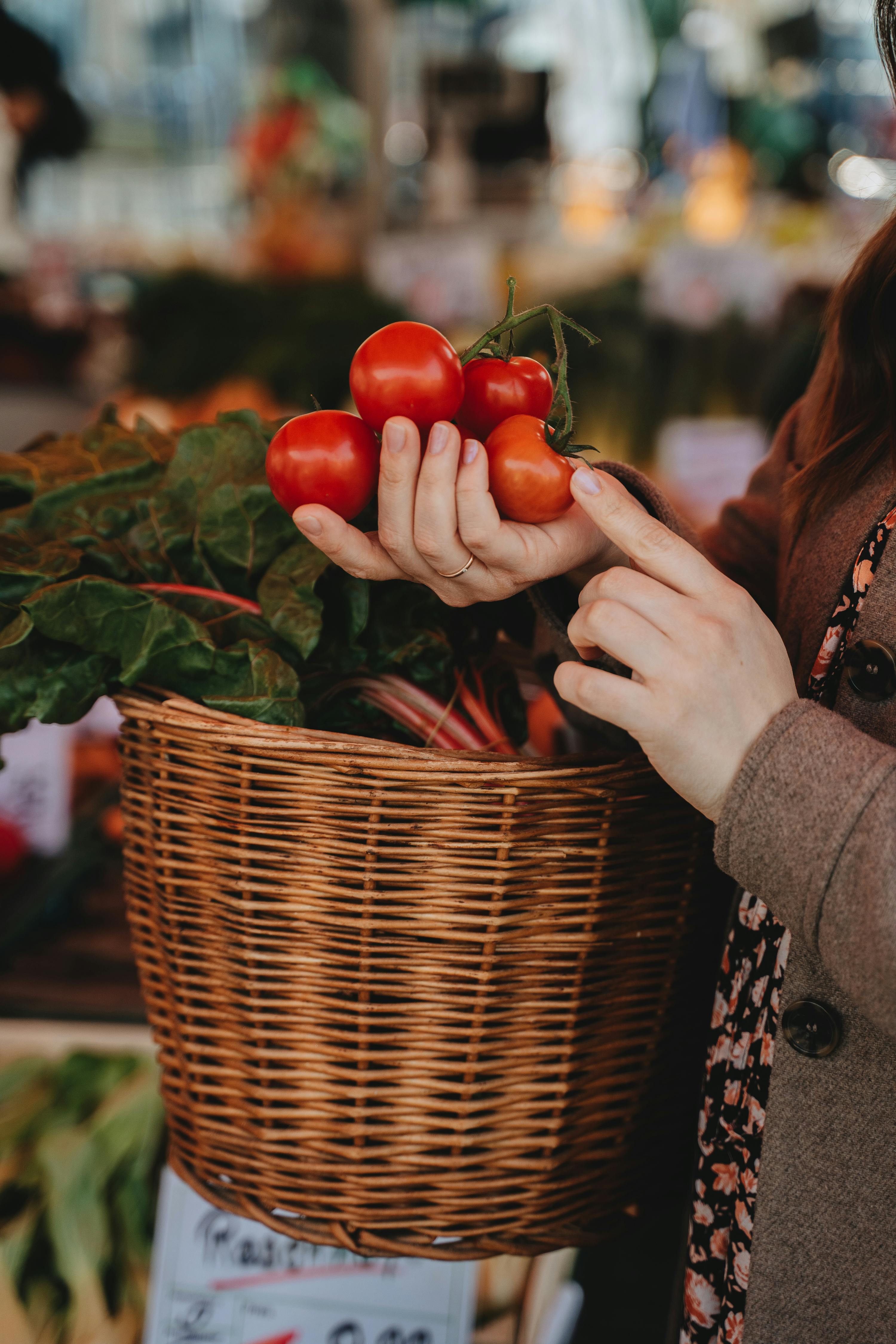 Hand picking fresh organic tomatoes at a local farmers market, with a basket of leafy greens.