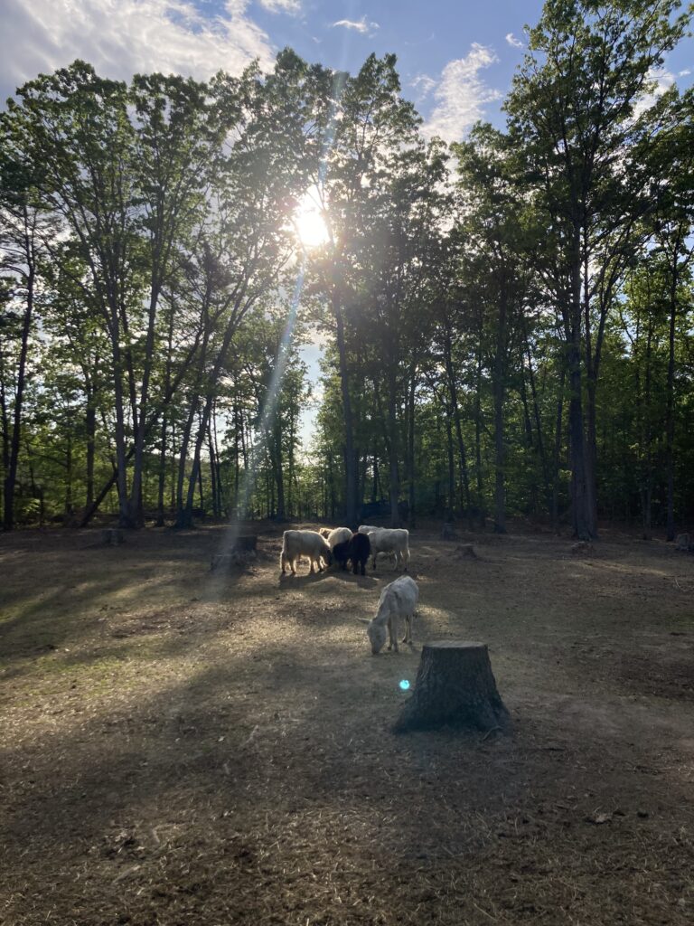 farmer meaning