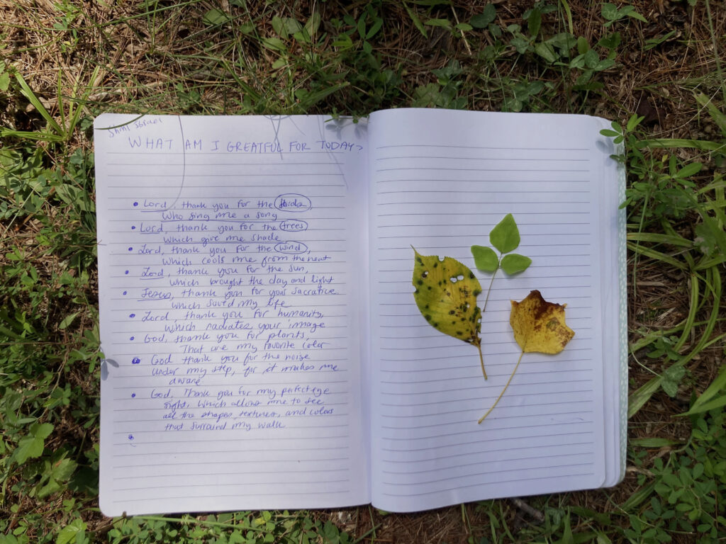 gratitude prompts for kids