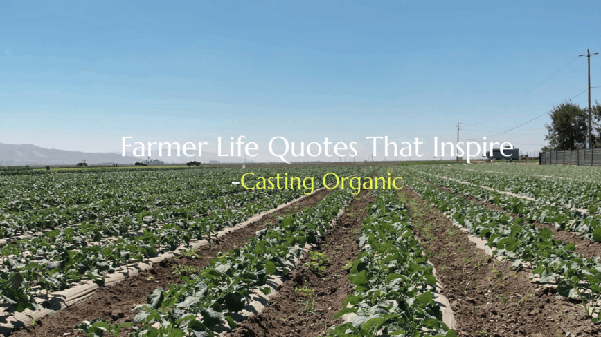 farmer quotes