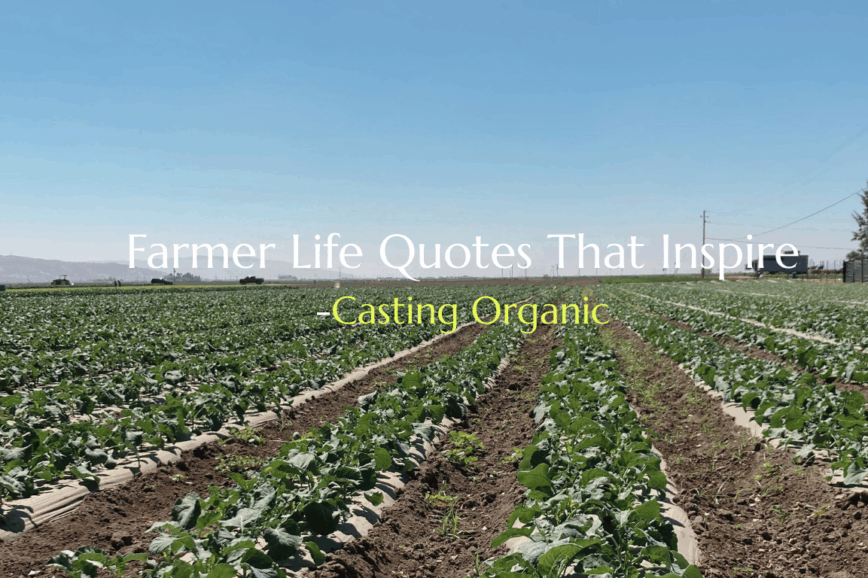 farmer quotes