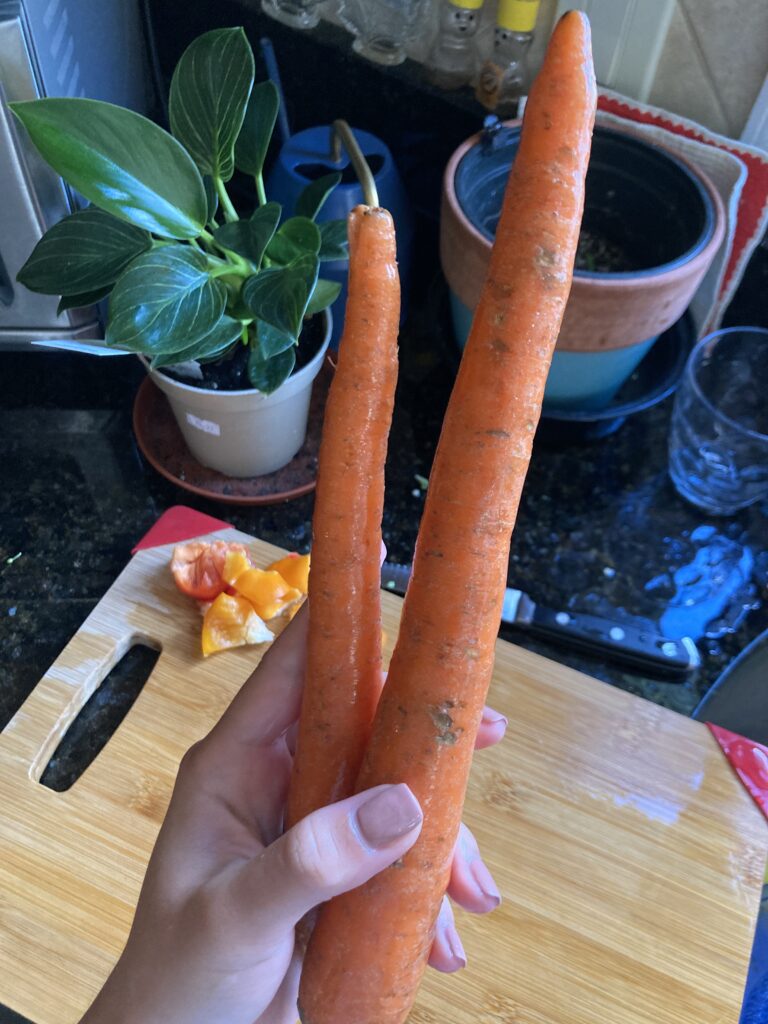 nourish bowl