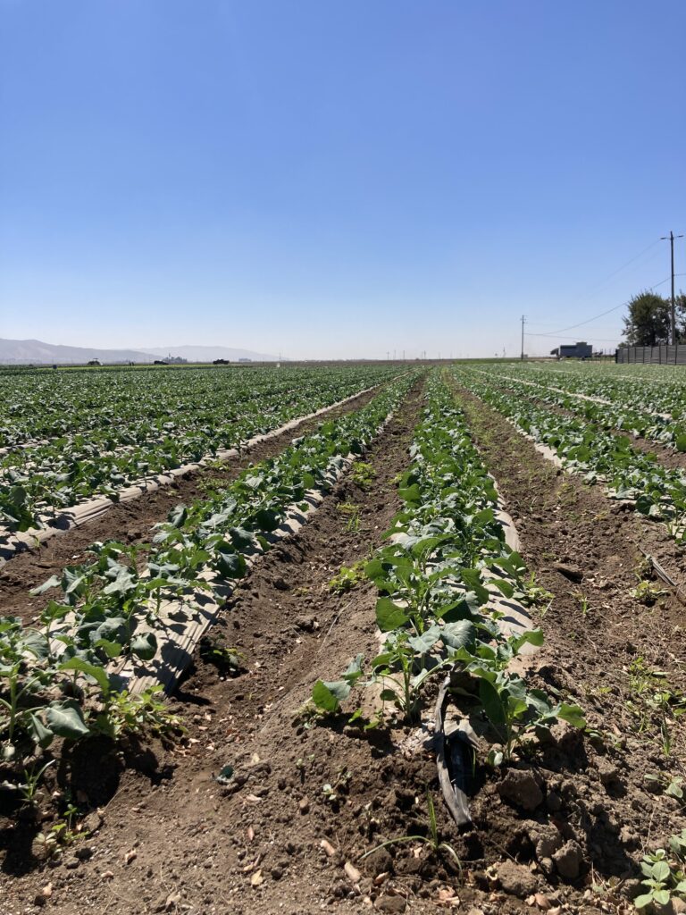 farmer quotes