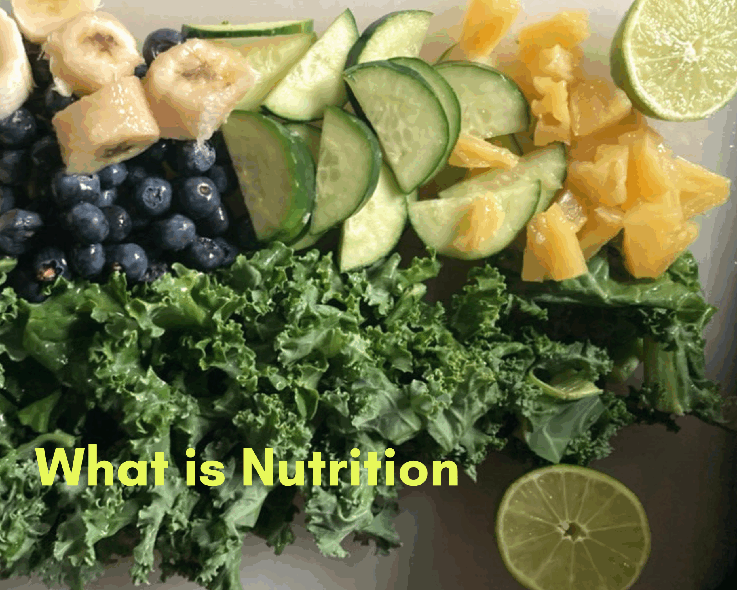 What Is Nutrition?Defining the Term From a Full Lens