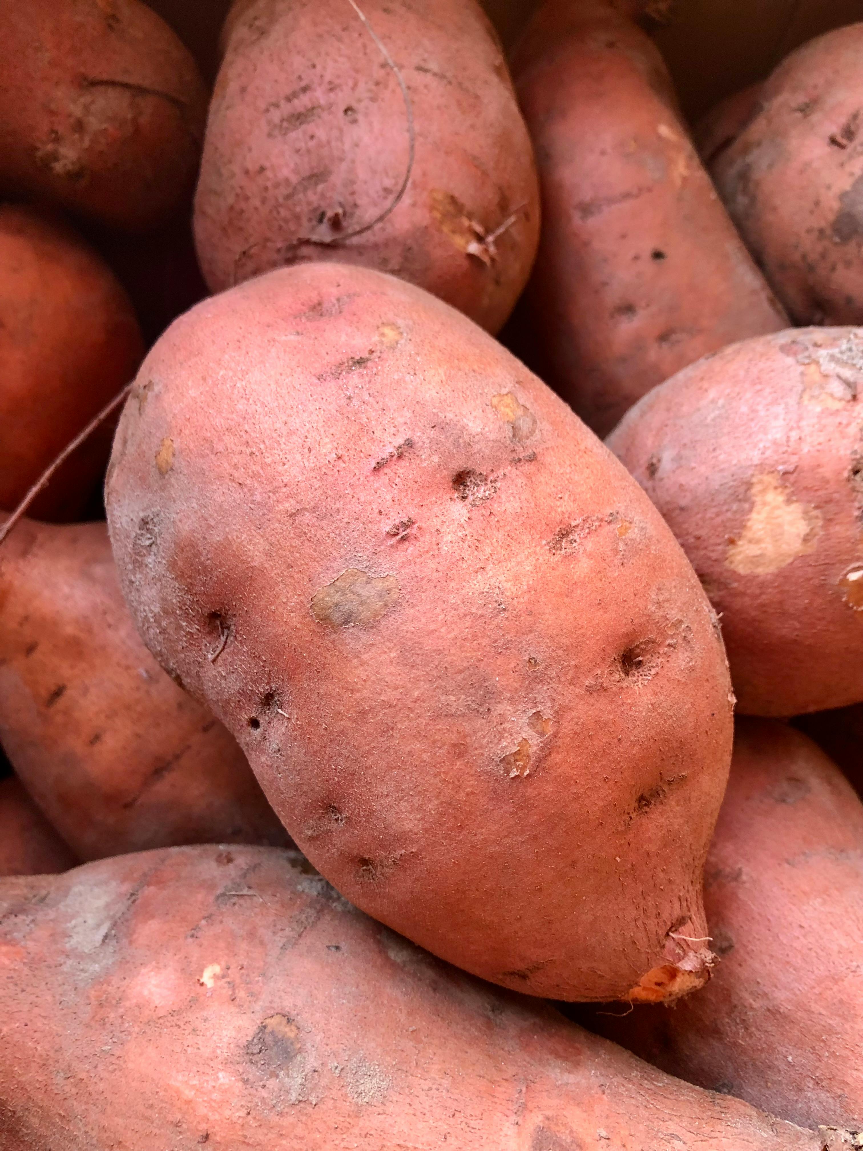 sweet potatoes 