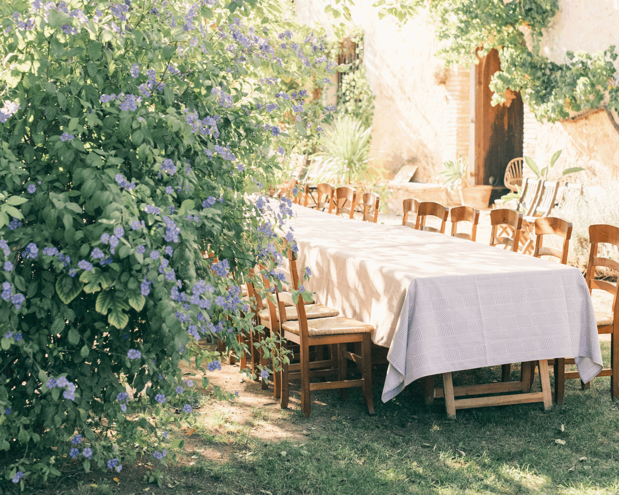 Is Farm to Table Healthier? How Local Eating Is Better