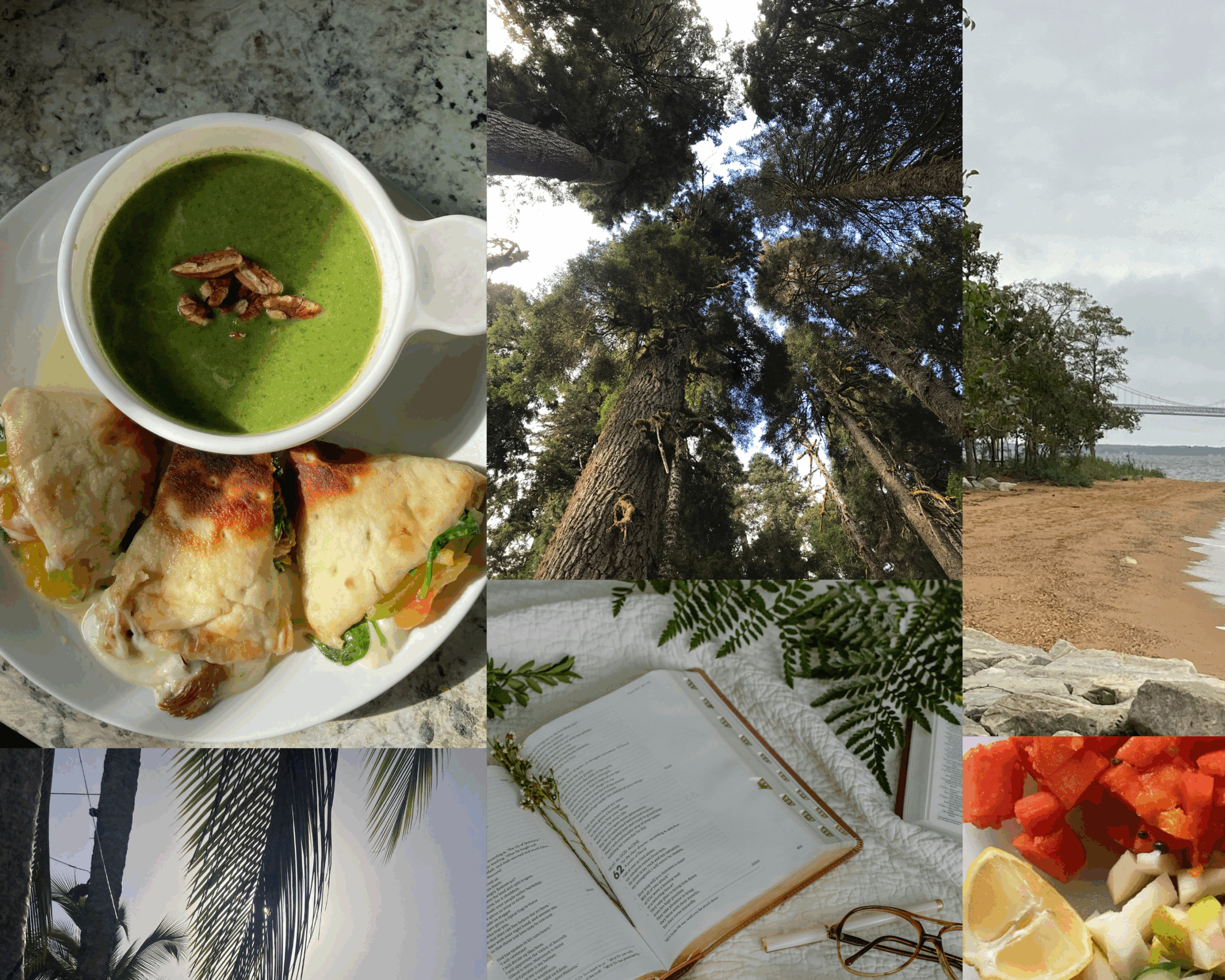 Sustenance: The Strong Roots Which Grow Good Fruit