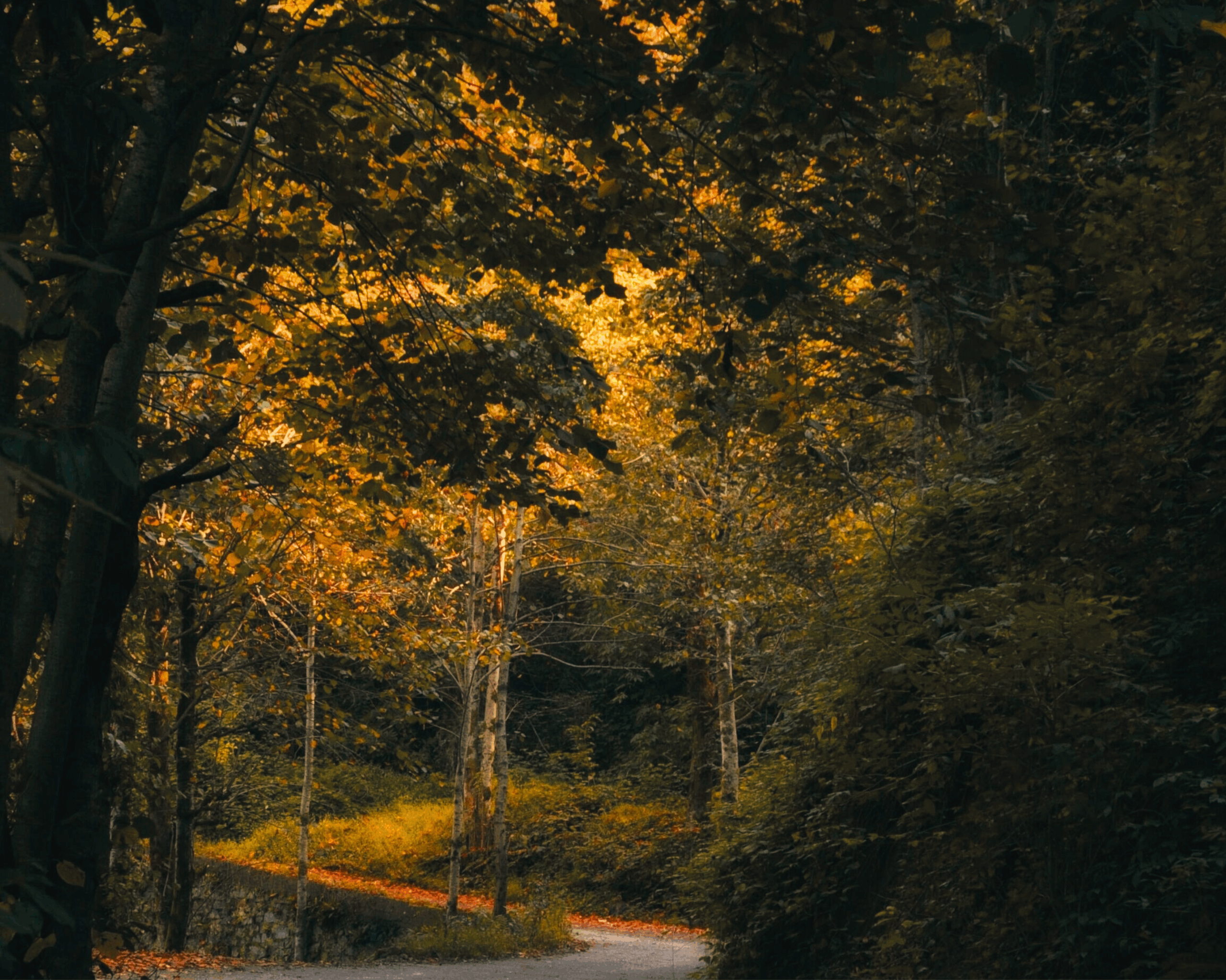 Thanksgiving Day Bible Verses – Giving God Full Gratitude