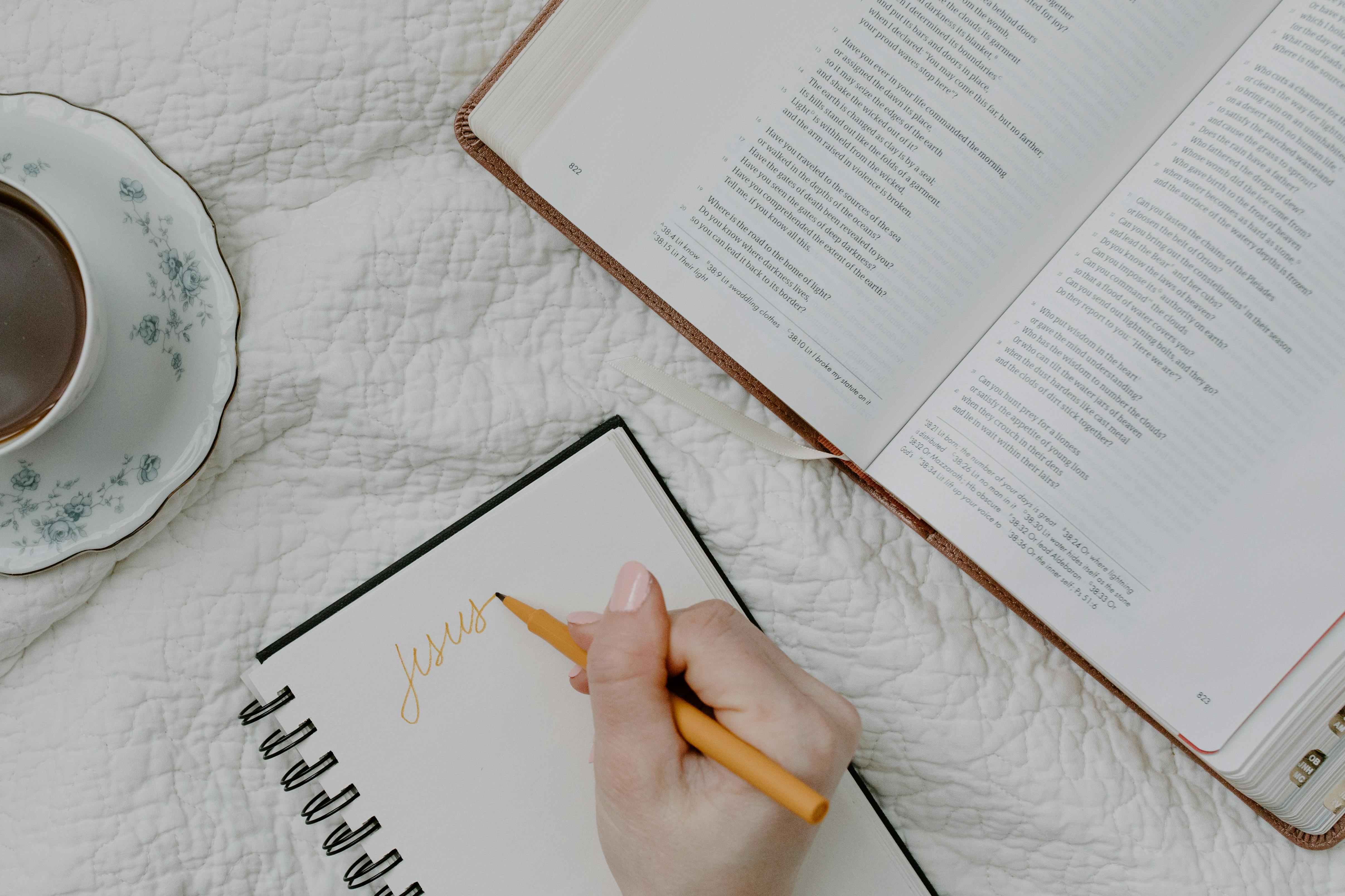 Thanksgiving Bible Verses