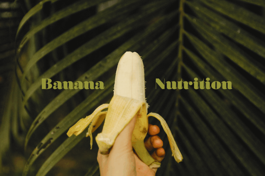 Holiday Banana recipes