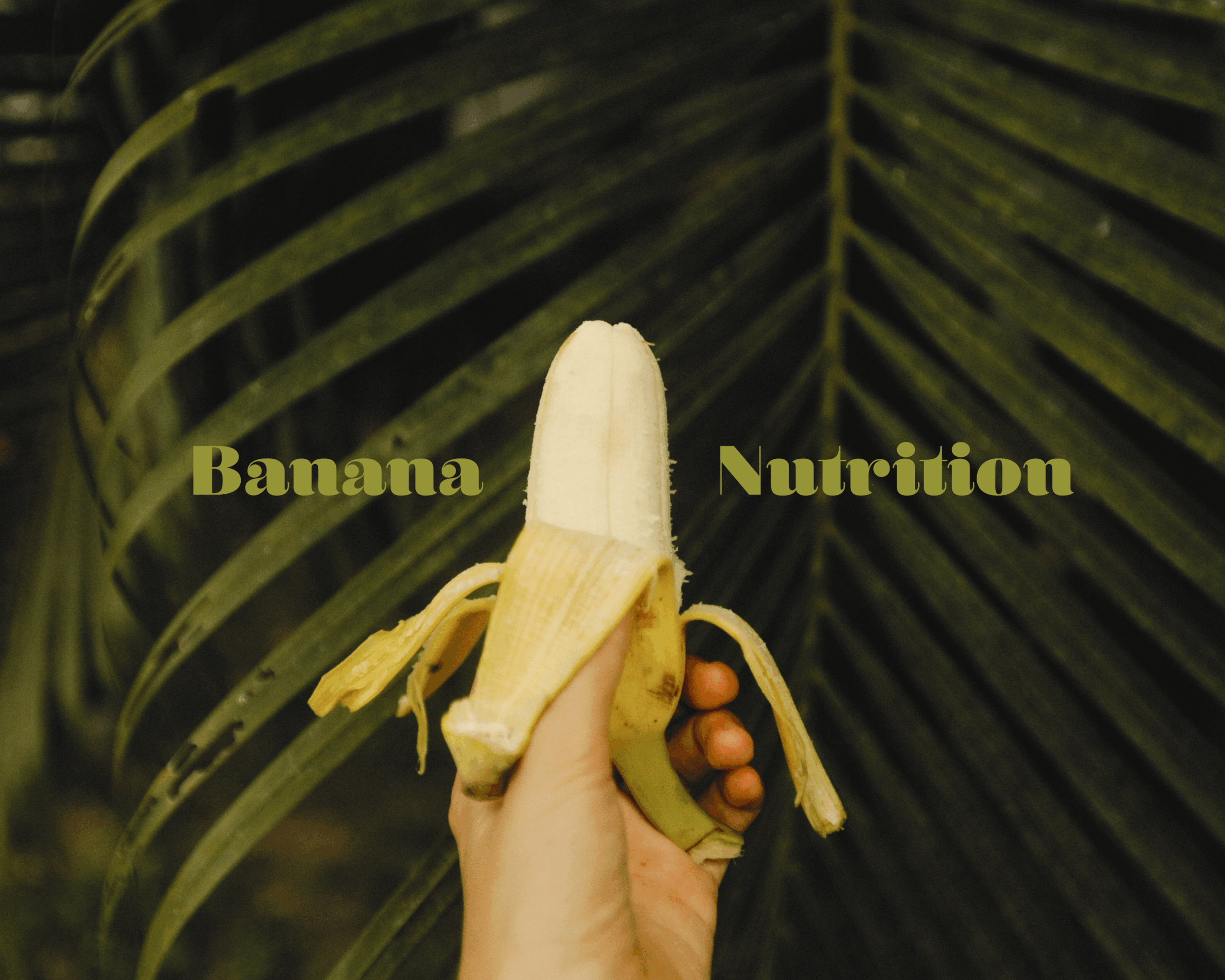 Banana Nutrition & Top Holiday Winter Recipes You Will Love
